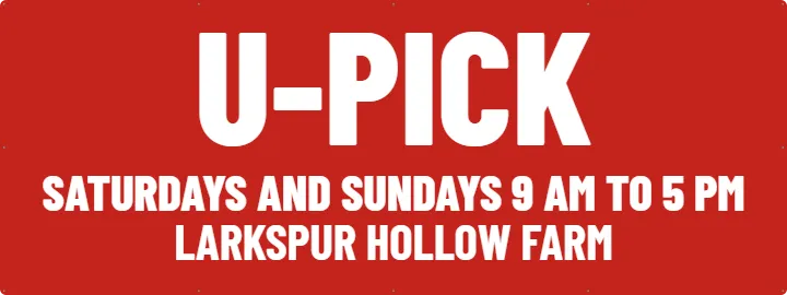 U-Pick Sign for the Field Gate: Farm Banner example, 8 x 3 ft