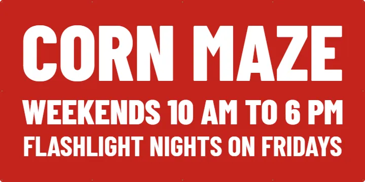 Corn Maze Banner for the Road: Pumpkin Patch Banner example, 8 x 4 ft