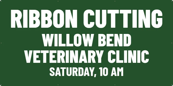 Ribbon Cutting Between Two Poles: Custom Vinyl Banner example, 6 x 3 ft