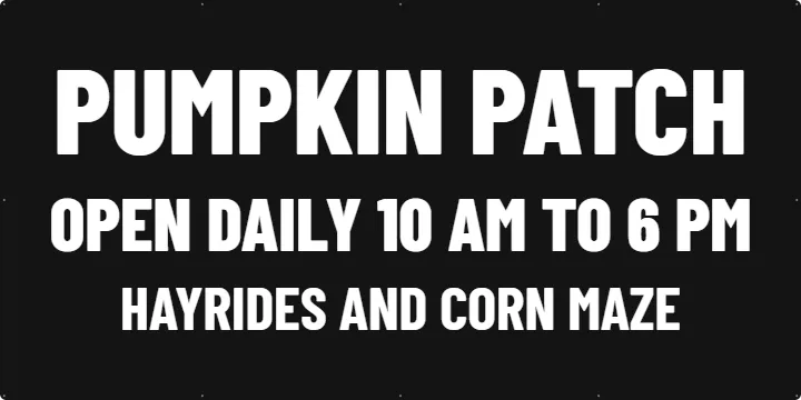 Pumpkin patch sign on a field fence: Pumpkin Patch Banner example, 8 x 4 ft